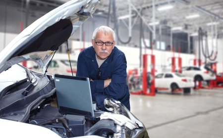 EXPERT ÎN SISTEME DE CÂNTĂRIRE A VEHICULELOR 