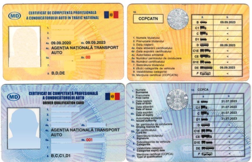 Conducători/conducătoare auto în trafic național/internațional de mărfuri și persoane